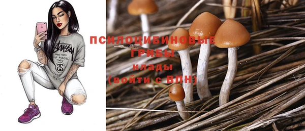мет Абинск