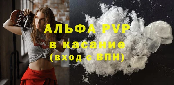 ешки Алексин